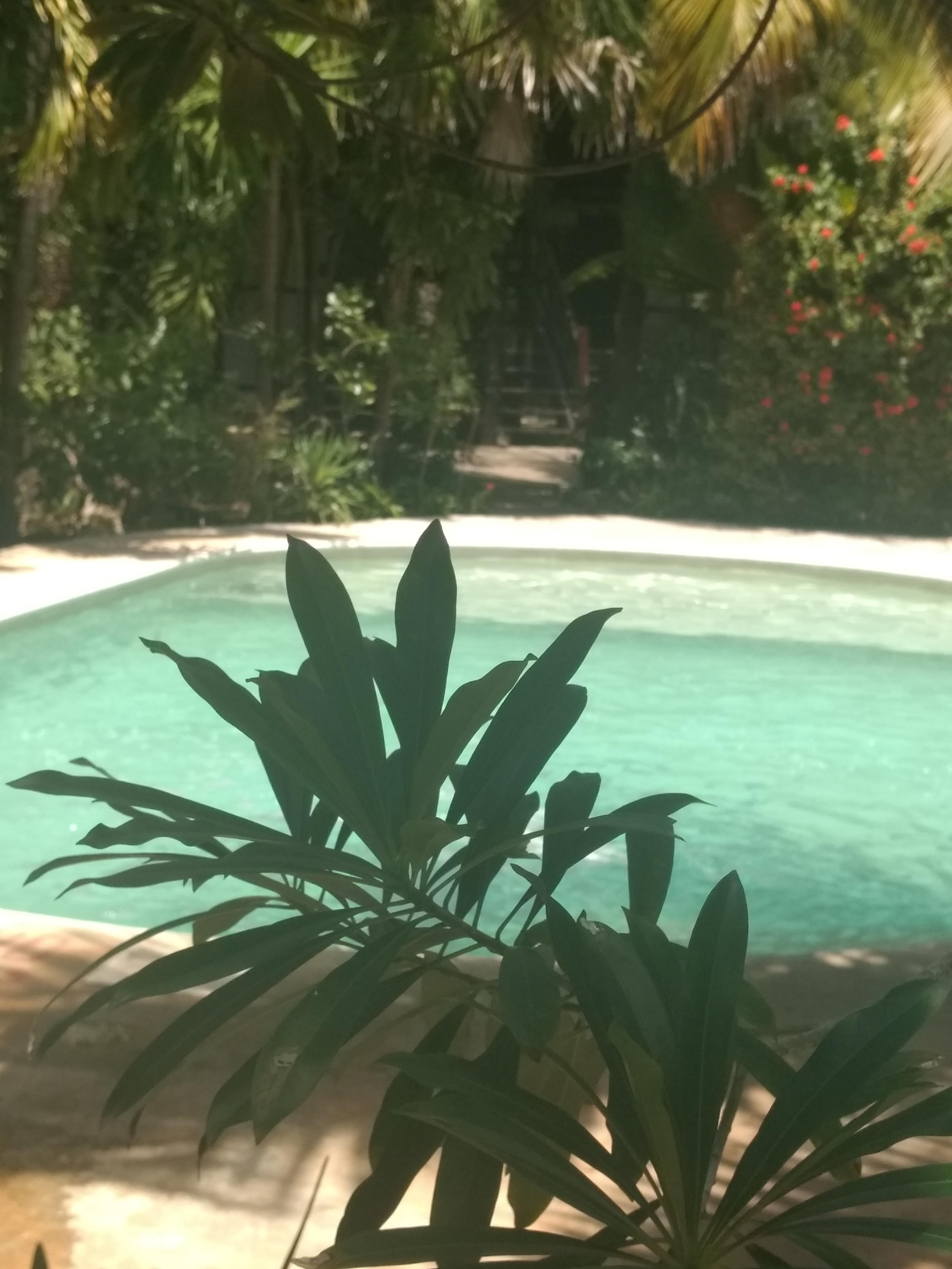 Green Tulum Cabanas & Gardens المظهر الخارجي الصورة